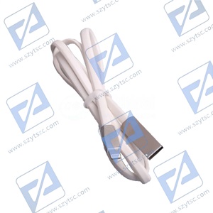 CKMBZP00021-1